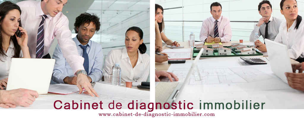 diagnostic immobilier